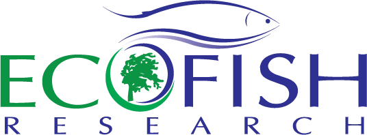 Eco fish Logo